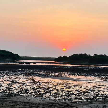 Kingfisher Beach Resort-Yala คิรินดา ภายนอก รูปภาพ