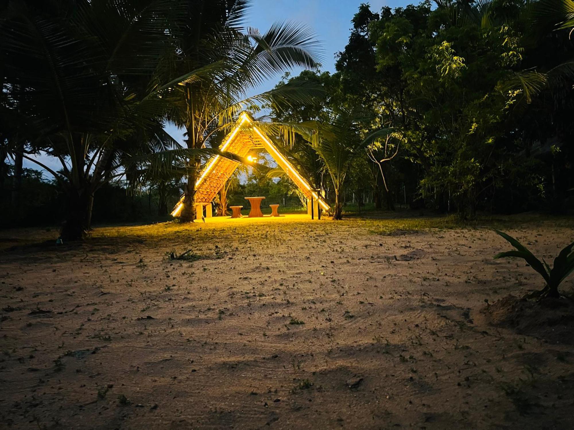 Kingfisher Beach Resort-Yala คิรินดา ภายนอก รูปภาพ